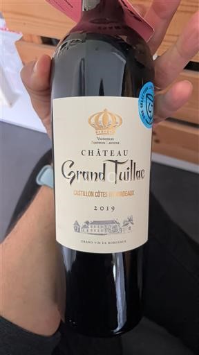Bordo Кастијон Кот де Бордо Château Grand Tuillac 2019