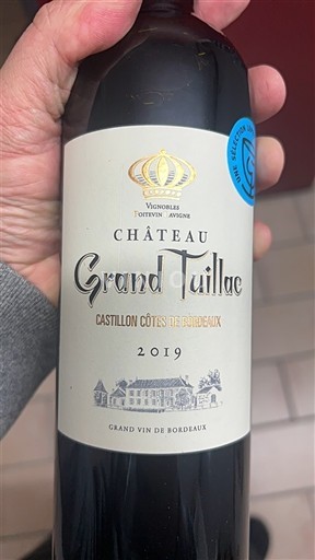 Вина Rouge sec Château Grand Tuillac 2019 Francuska Bordo Кастијон Кот де Бордо AOC
