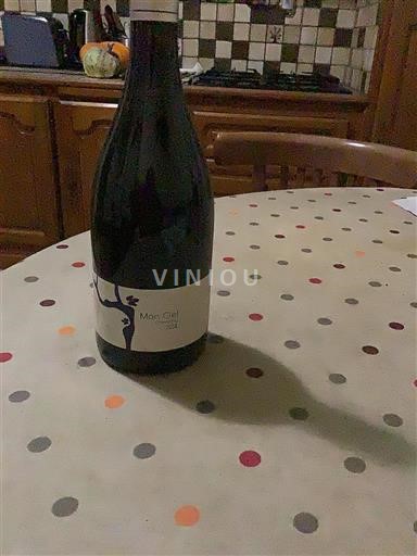 Dolina Loare Cheverny Laura Semeria Mon Ciel 2014