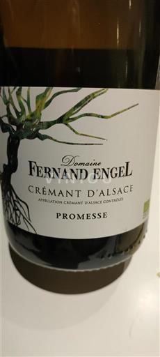 Alsazia Crémant d'Alsazia Domaine Fernand Engel Promesse Senza annata