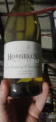Südwestfrankreich Côtes de Gascogne Domaine Horgelus Gros manseng & sauvignon 2022