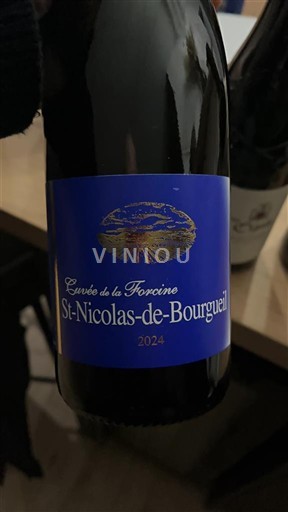 Vallée de la Loire Saint-Nicolas-De-Bourgueil La Forcine de la Forcine 2024