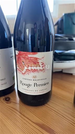 Languedoc Terrasses-du-Larzac Domaine Malavieille Rouge Permien 2022