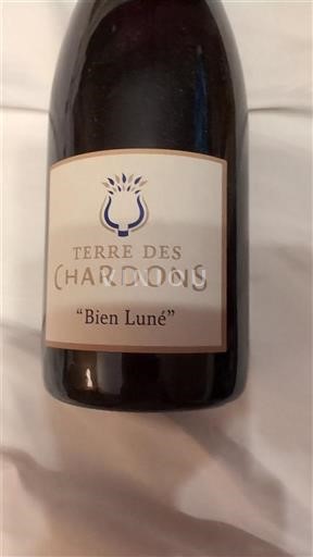 Valle del Ródano Costières de Nimes Terre des Chardons Bien Luné 2019
