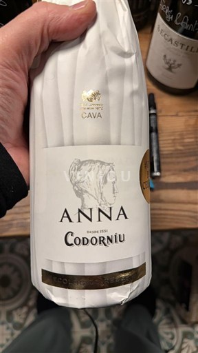 Katalonija Cava Codorníu Anna Neleten.