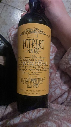 Mendoza Valle de Uco Potrero 2023