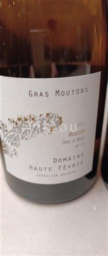 Valle del Loira No especificado Domaine Haute Févrie Gras Moutons 2021