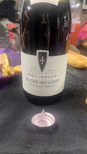 Loire Valley Quincy Paris l'Hospitalier Le Cul-au-Loup Les Champs Marots Non-Vintage