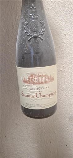 Loire Valley Saumur-Champigny Les Besseries Non-Vintage