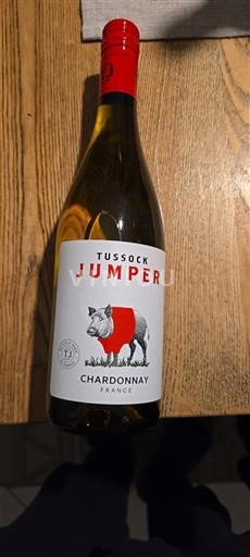 Languedoc a Roussillon Pays d'Oc Tussock Jumper 2024