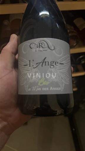 Jugozahod Coteaux et terrasses de Montauban Le Mas des Anges L'Ange 2023