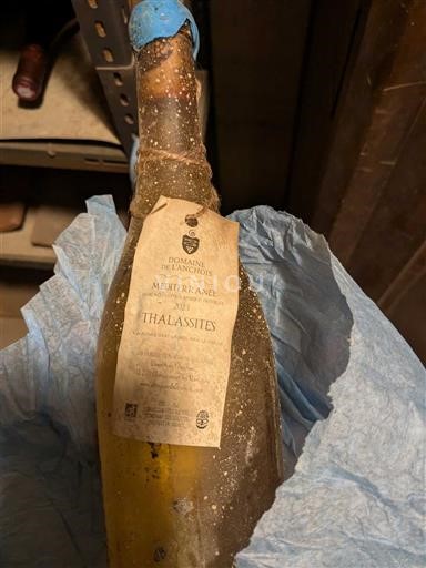 Provence, Lage Rhône-vallei, Corsica Middellandse Zee Domaine L'Anchois Thalassites 2023