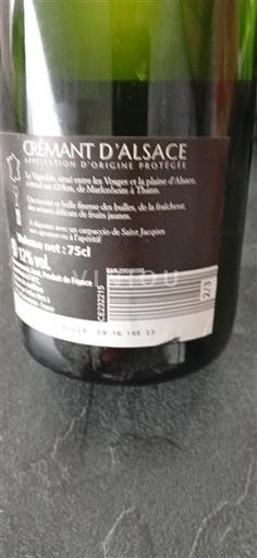 Alsace Alsace-kuohuviini Saint-Jacques Ei vuosikertaa