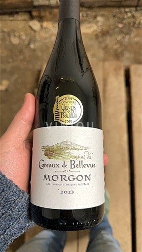 Beaujolais Morgon Domaine Coteaux de Bellevue 2023