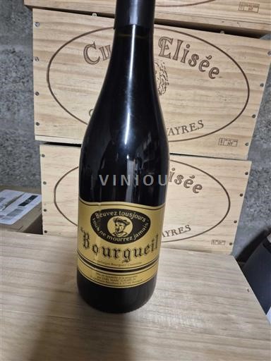 Vale do Loire Bourgueil Domaine Galbrun 2018