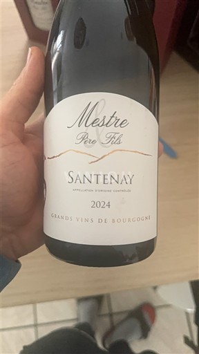 Bourgogne Santenay Mestre Père & Fils 2024