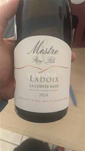 Bourgogne Ladoix Mestre Père et Fils La Corvée Basse 2024