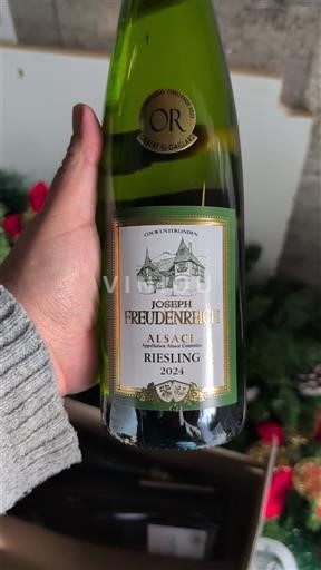 Elsass Joseph Freudenreich 2024