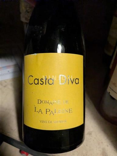 Valle del Loira Saumur Domaine La Paleine Casta Diva 2019