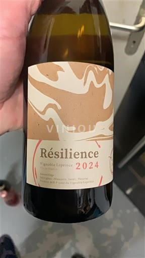 Jura Arbois Vignoble Lépinec Résilience 2024