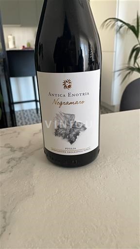 Apulija Ni doloceno Antica Enotria Negramaro 2022