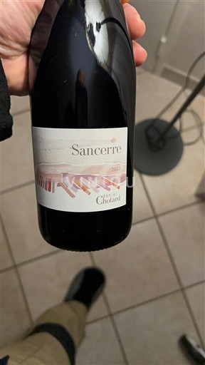 Valle della Loira Sancerre Domaine Chotard 2023