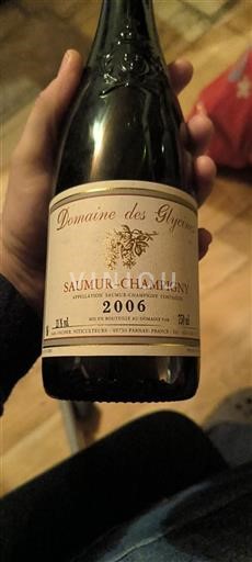 Loiren laakso Saumur-champigny Domaine S Glycines 2006