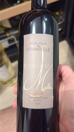 Sud-Ouest Cahors Révélation de Chantelle Malbec 2016