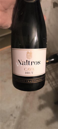 Vin Effervescent Blanc brut Naltros Non millésimé Španija Каталонија Кава DO