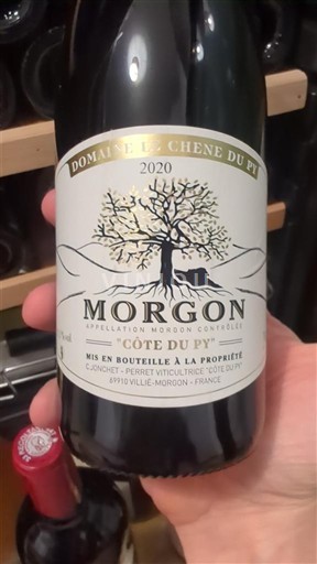 Beaujolais Morgon Domaine La Chene du Py Côte du Py 2020