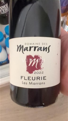Beaujolais Fleurie Domaine S Marrans Les Marrans 2022