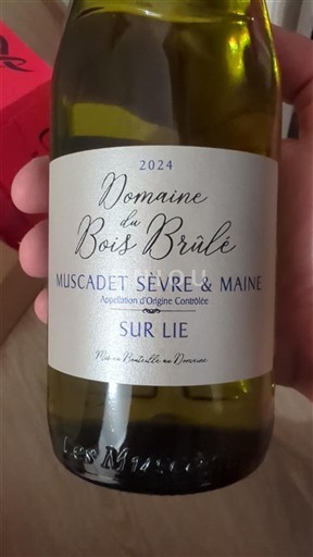 Vallée de la Loire Muscadet-sèvre-et-maine Domaine Bois Brûlé 2024