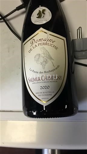 Loiren laakso Saumur-champigny Domaine La Perruche La Pente des Rochepichards 2020