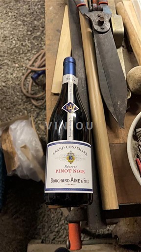 Alsazia Pinot nero Bouchard Aîné & Fils Grand Conseiller Réserve Pinot Noir 2024