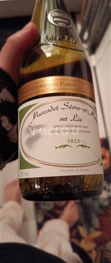 Loire-dalen Muscadet-Sèvre-et-Maine La Cave d'Augustin Florent Sur Lie 2023