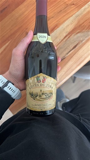 Jura Côtes-du-jura Domaine Berthet-Bondet 2020