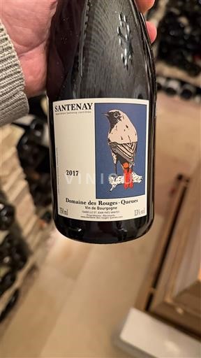 Burgundsko Santenay Domaine S Rouges-Queues 2017