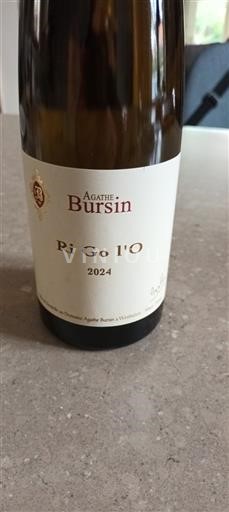 Elsass Agathe Bursin Ri Go l'O 2024