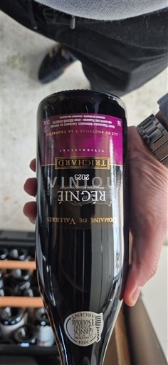 Languedoc a Roussillon Côtes de Thongue Domaine Valensac Reine Trichard 2023