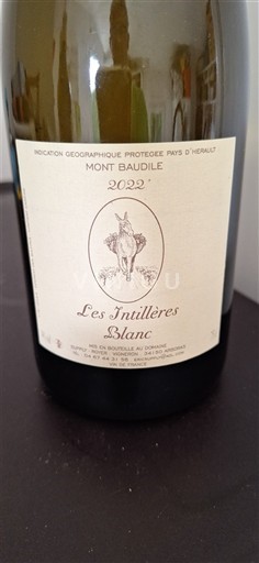 Languedoque Não especificado Mont Baudile Les Inutières Blanc 2022
