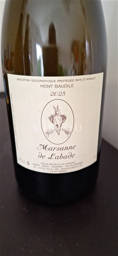 Languedoque Não especificado Mont Baudile Marsanne de Labade 2023