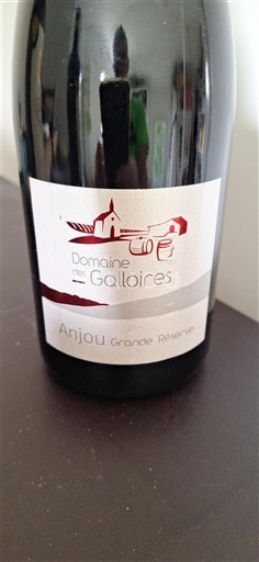 Loiren laakso Anjou Domaine S Galloïres Grande Réserve 2021