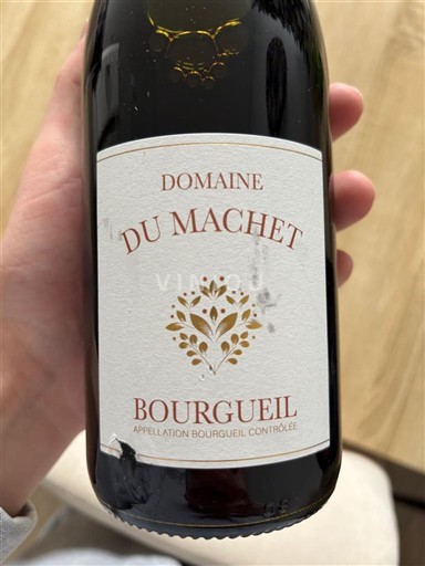 Thung lũng sông Loire Bourgueil Domaine Machet 2022
