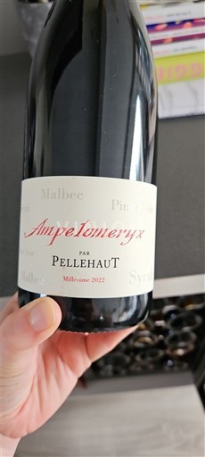 Sydvestfrankrig Côtes de Gascogne Domaine Pellehaut Ampelomeryx 2022