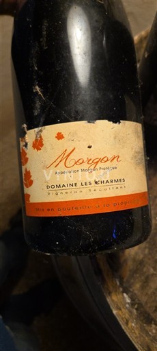 Beaujolais Morgon Domaine Les Charmes 2020