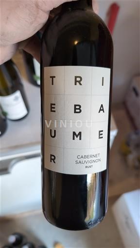 Burgenland Unspecified Triebaumer 2023