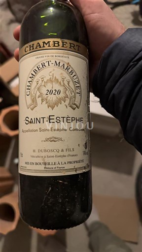 Bordeaux Saint-Estèphe Chambert-Marbuzet 2020