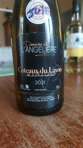 Vallée de la Loire Coteaux-du-layon Domaine L'Angelière 2021