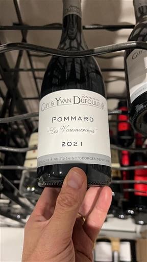 Burgund Pommard Domaine Guy & Yvan Dufouleur Les Vaumuriens 2021