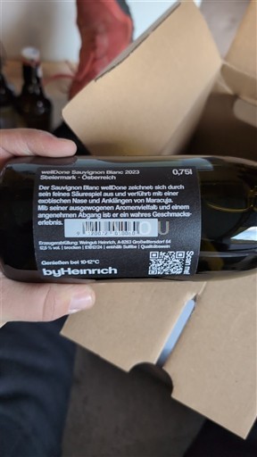 Steiermark Nicht spezifiziert ByHEINRICH wellDone 2023